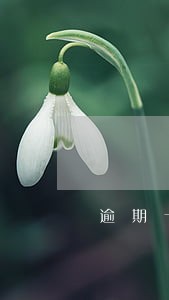逾期十个平台身无分文 逾期十个平台身无分文