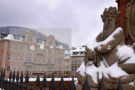逾期十个月会不会上征信 逾期十个月会不会上征信