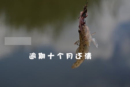逾期十个月还清 逾期十个月还清