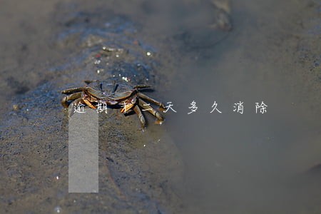 逾期十二天多久消除 逾期十二天多久消除