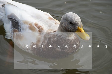 逾期十二天还清后会有什么后果 逾期十二天还清后会有什么后果