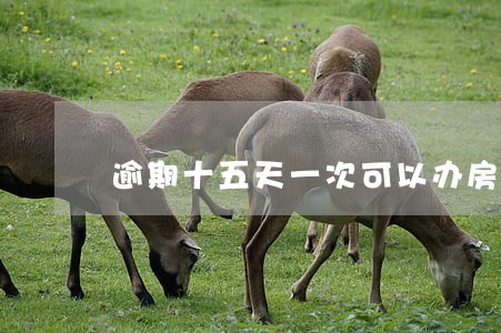 逾期十五天一次可以办房贷吗 逾期十五天一次可以办房贷吗