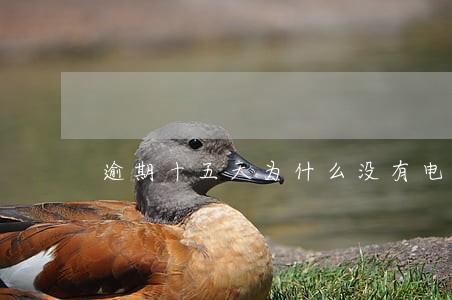 逾期十五天为什么没有电话了 逾期十五天为什么没有电话了