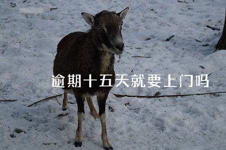逾期十五天就要上门吗 逾期十五天就要上门吗