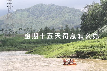 逾期十五天罚息怎么办 逾期十五天罚息怎么办