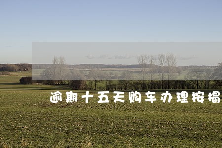 逾期十五天购车办理按揭