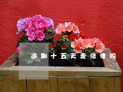 逾期十五天走法律吗