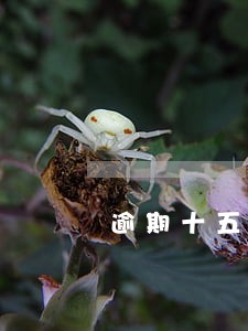 逾期十五年的负债如何处理 逾期十五年的负债如何处理
