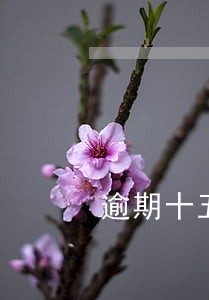 逾期十五日是自然日还是工作日