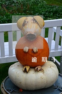 逾期十五次五年能消掉不 逾期十五次五年能消掉不