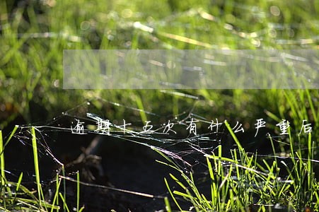 逾期十五次有什么严重后果 逾期十五次有什么严重后果