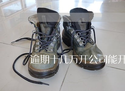 逾期十几万开公司能开