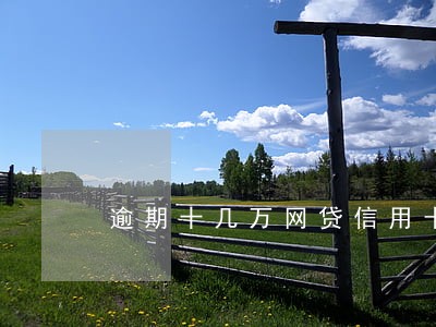 逾期十几万网贷信用卡怎么办 逾期十几万网贷信用卡怎么办