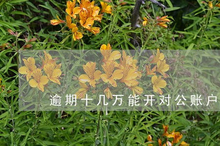 逾期十几万能开对公账户