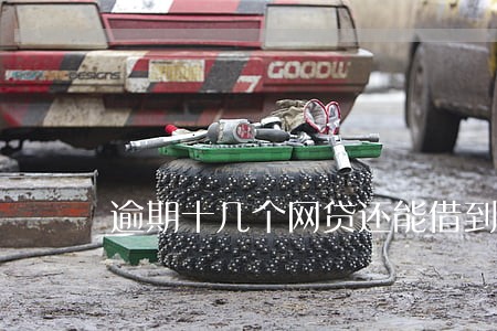 逾期十几个网贷还能借到吗 逾期十几个网贷还能借到吗