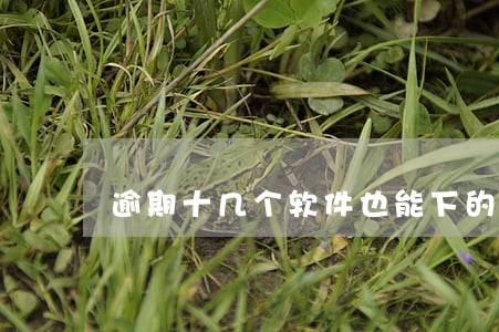 逾期十几个软件也能下的口子 逾期十几个软件也能下的口子