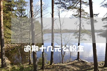 逾期十几元公积金 逾期十几元公积金
