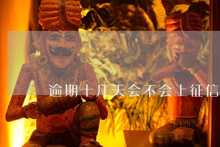 逾期十几天会不会上征信 逾期十几天会不会上征信