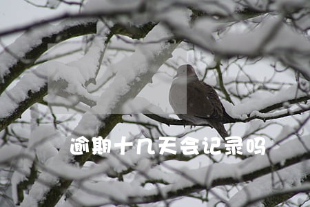 逾期十几天会记录吗 逾期十几天会记录吗