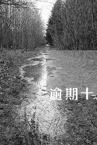 逾期十几天催收 逾期十几天催收