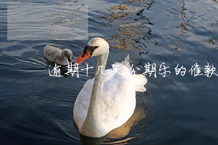 逾期十几天分期乐的催款短信 逾期十几天分期乐的催款短信