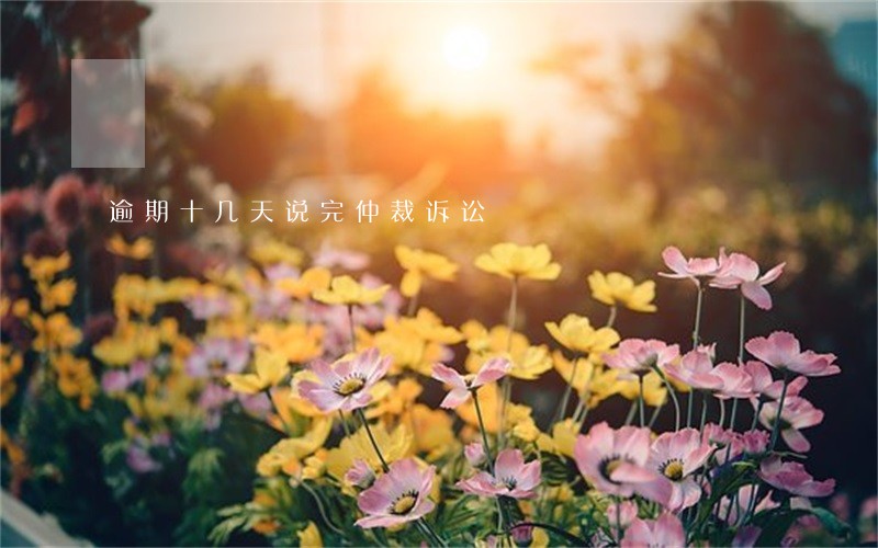 逾期十几天说完仲裁诉讼 逾期十几天说完仲裁诉讼