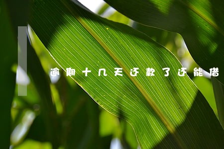 逾期十几天还款了还能借钱吗 逾期十几天还款了还能借钱吗