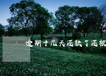 逾期十几天还款了还被拖车 逾期十几天还款了还被拖车