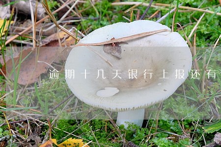 逾期十几天银行上报还有救吗 逾期十几天银行上报还有救吗