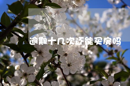 逾期十几次还能买房吗 逾期十几次还能买房吗