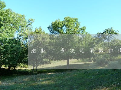 逾期十多次记录做担保人 逾期十多次记录做担保人