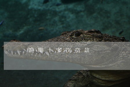 逾期十多次贷款 逾期十多次贷款