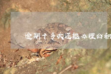 逾期十多次还能办理公积金贷款吗 逾期十多次还能办理公积金贷款吗