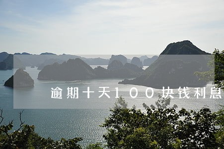 逾期十天100块钱利息 逾期十天100块钱利息
