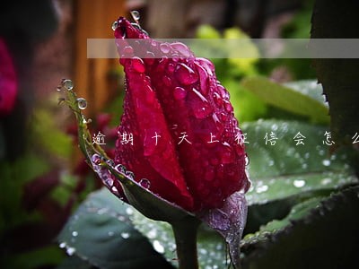 逾期十天上征信会怎么样