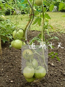 逾期十天上征信还能货款吗