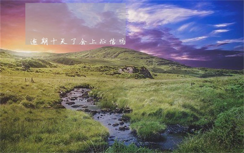 逾期十天了会上征信吗 逾期十天了会上征信吗