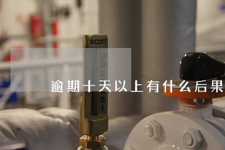 逾期十天以上有什么后果