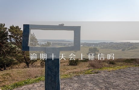 逾期十天会上征信吗 逾期十天会上征信吗