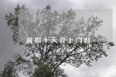 逾期十天会上门吗 逾期十天会上门吗