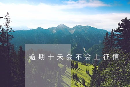 逾期十天会不会上征信 逾期十天会不会上征信
