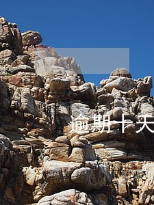 逾期十天会停卡吗 逾期十天会停卡吗