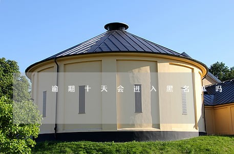 逾期十天会进入黑名单吗 逾期十天会进入黑名单吗