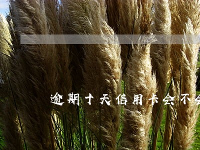 逾期十天信用卡会不会上黑名单 逾期十天信用卡会不会上黑名单