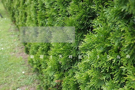 逾期十天利息150高吗 逾期十天利息150高吗