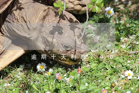 逾期十天利息700 逾期十天利息700