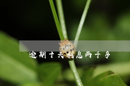 逾期十天利息两千多 逾期十天利息两千多