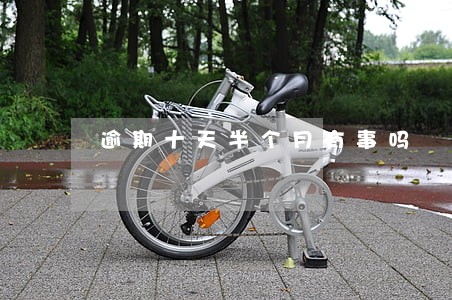 逾期十天半个月有事吗 逾期十天半个月有事吗
