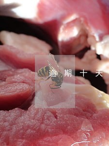 逾期十天可以办信用卡 逾期十天可以办信用卡
