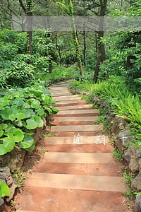 逾期十天可以按揭房贷吗 逾期十天可以按揭房贷吗